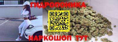 гидра Краснокаменск