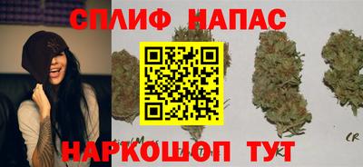 гидра Краснокаменск