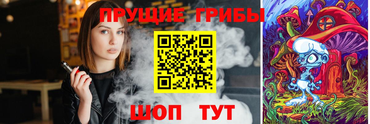 Галлюциногенные грибы Psilocybine cubensis Шебекино